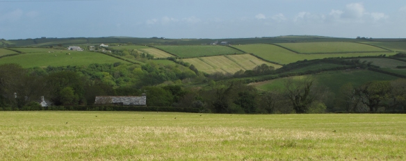 North Cornwall. Newly mown fields