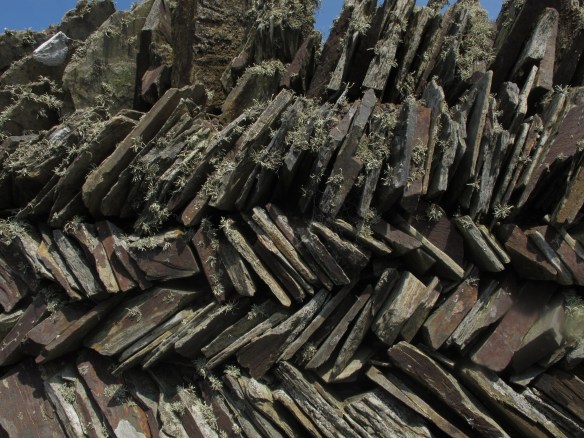 Irrelevant photo: a dry stone wall, with lichen. Or if you want to see it as a metaphor, feel free.